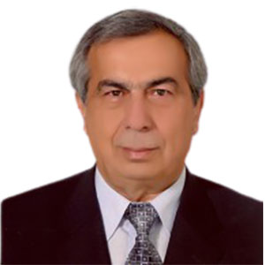Nizami Hasanli